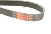 Ремінь полікліновий GATES Gates 6PK1199EST (фото 5)