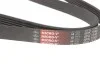 Поликлиновый ремень 6 ребер Gates 6PK1540 (фото 3)