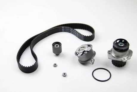 Комплект (ремень+ролик+насос) Gates KP55569XS-2