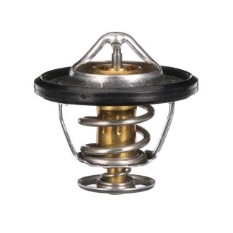 Термостат Gates TH56189G1