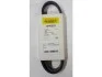 Ремень поликлиновый генератор HYUNDAI Matrix FCT 08-10 GLOBER 4PK878 (фото 1)