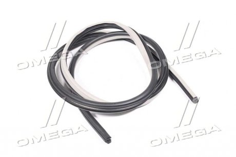 Ущільнювач дверей GM 96467379