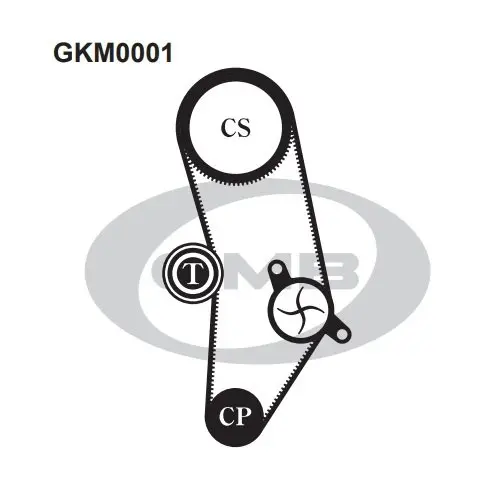 Ремонтний комплект для заміни паса газорозподільчого механізму GMB GKM0001 (фото 1)