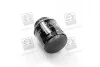 Масляний фільтр гвинт накручуваний HENGST FILTER H312W01 (фото 2)