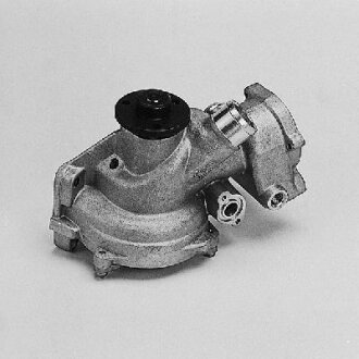 Насос водяний HEPU P166