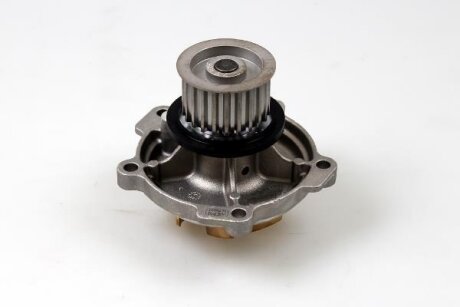 Насос водяний HEPU P1728