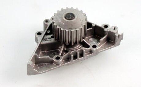 Насос водяний HEPU P894