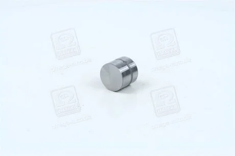 Гидрокомпенсатор (выр-во Mobis) Hyundai/Kia/Mobis 2223137100