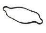 Прокладка клапанної кришки V Hyundai/Kia/Mobis 224422G700 (фото 1)