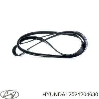 Поликлиновый ременный комплект Hyundai/Kia/Mobis 2521204630