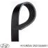 Поликлиновый ремень Hyundai/Kia/Mobis 252124A001 (фото 1)