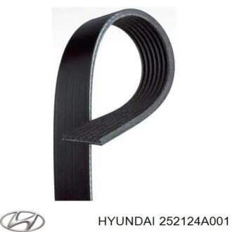 Полікліновий ремінь Hyundai/Kia/Mobis 252124A001