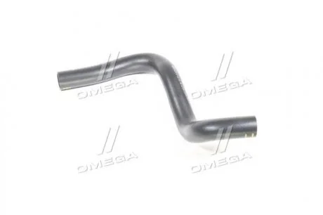 Патрубок радиатора нижний Hyundai/Kia/Mobis 254122E100