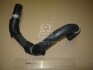 Патрубок радіатора Hyundai, Kia (Mobis) Hyundai/Kia/Mobis 256402F300 (фото 1)