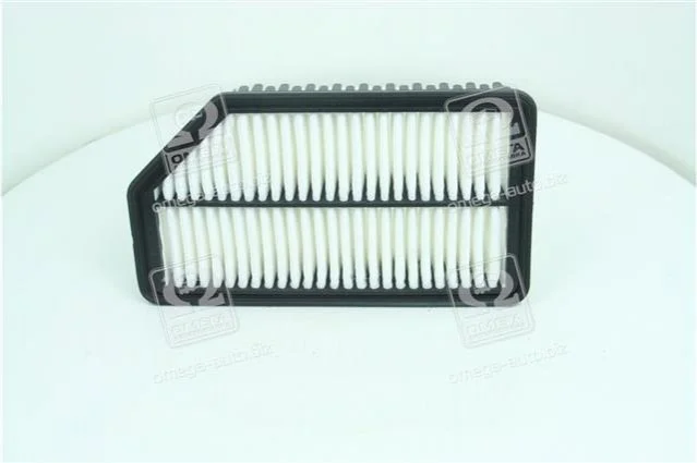 Воздушный фильтр Hyundai/Kia/Mobis 281131R100 (фото 1)