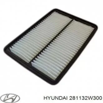 Воздушный фильтр Hyundai/Kia/Mobis 281132W300
