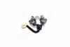 Щітка стартера (1.2kw) (Mobis) Hyundai/Kia/Mobis 3616937310 (фото 2)