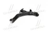 Важель підвіски (вир-во Mobis) Hyundai/Kia/Mobis 545012D002 (фото 1)