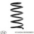 Пружина задня вісь Hyundai/Kia/Mobis 553302B201 (фото 1)