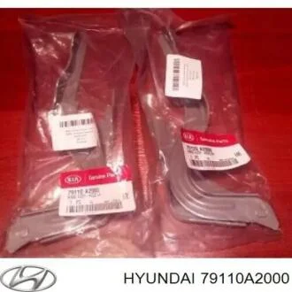 Петля капота (вир-во Mobis) Hyundai/Kia/Mobis 79110A2000