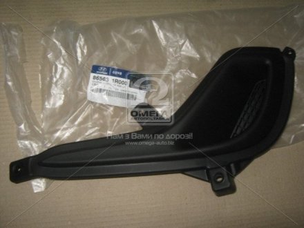 Заглушка фары противотуманной левой Hyundai/Kia/Mobis 865631R000