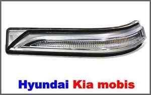 Повторитель указателя поворота в зеркале левом Hyundai/Kia/Mobis 87613C1000