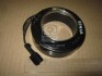Муфта компресора кондіціонера Hyundai Trajet 00-/Kia Opirus 03-06 (Mobis) Hyundai/Kia/Mobis 976413A571 (фото 1)