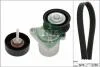 Комплект ремня генератора INA 529 0398 10 (фото 1)