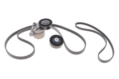 Роликовий модуль натягувача ременя (ролик, ремінь) INA 529 0439 10