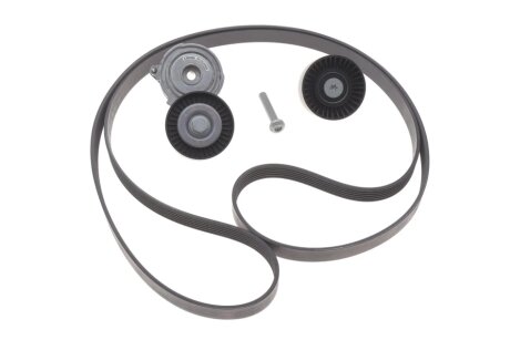 Комплект поліклінових ременів INA 529 0509 10