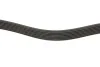 Комплект ГРМ INA 529055510 (фото 2)