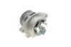 Насос водяний VW, AUDI, SEAT, SKODA Ruville 65431 (Вир-во) INA 538 0026 10 (фото 2)