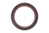 Комплект ланцюга OPEL Z10XE/Z12XE/Z14XEP із шестернями. (вир-во) INA 559 1821 41 (фото 9)