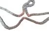 Комплект ланцюга приводу розподільчого вала INA 559 1862 50 (фото 9)