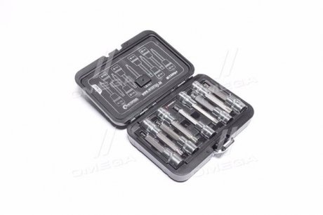 Набор бит TORX 1/2" T20-T60, 100мм, S2, STORM Intertool ET-8401