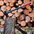 Колун кованый 2500г, ручка из фибергласа Intertool HT-0273 (фото 10)