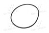 Кільце ущільнювальне 100 Х 3,0 мм ТНВД (JD) JOHN DEERE R500318 (фото 4)