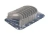 Вкладыши шатунные OPEL/FIAT STD 1,3CDTi Z13DTJ/Z13DTH (выр-во KS) KOLBENSCHMIDT 37055620 (фото 1)