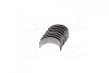 Вкладыши шатунные 0,25mm FIAT/OPEL 1.9 TDCI (выр-во KS) KOLBENSCHMIDT 37087610 (фото 2)