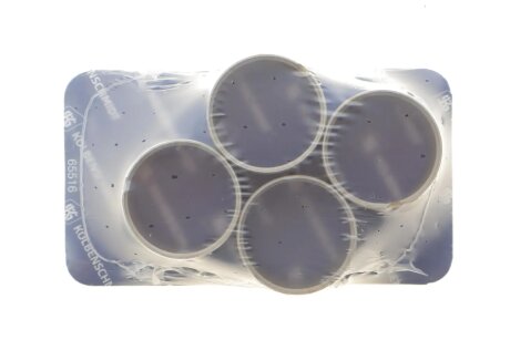 Втулки шатуна PL-B (KS) KOLBENSCHMIDT 87355693