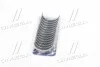 Вкладыши коренные HL MB M103 OM603 (выр-во KS) KOLBENSCHMIDT 87416600 (фото 4)