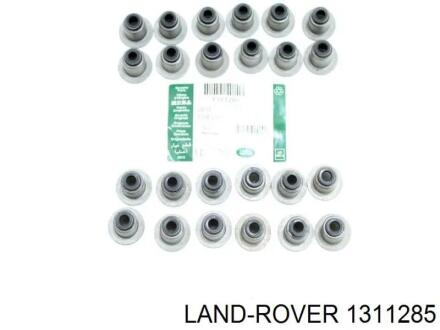 Сальник клапанів LAND ROVER 1311285
