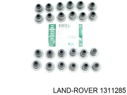 Сальник клапанів LAND ROVER 1311285