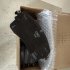 Колодки тормозные LAND ROVER LR164029REF (фото 1)
