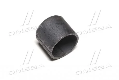 Втулка затискна EG25/29x25 DIN1498 (вир-во) Lemken 3173345