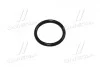 Кольцо резиновое 25x3-80Shore Viton83 (про-во) Lemken 3751190 (фото 2)