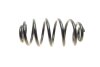 Пружина підвіски задня з постійним діаметром LESJOFORS 4263458 (фото 3)
