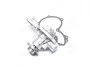 Насос водяной AUDI/FORD/SEAT/SEAT VAN/VW PA5 (Выр-во) LPR WP0079 (фото 2)
