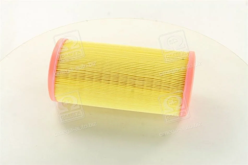 Фільтр повітряний RENAULT (вир-во M-Filter) M-FILTER A109 (фото 1)
