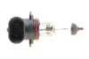 Лампа розжарювання HB4 12V 51W P22d (вир-во Magneti Marelli) MAGNETI MARELLI 002577300000 (фото 4)